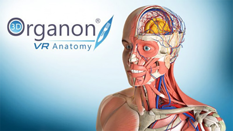 3D Organon虚拟现实解剖